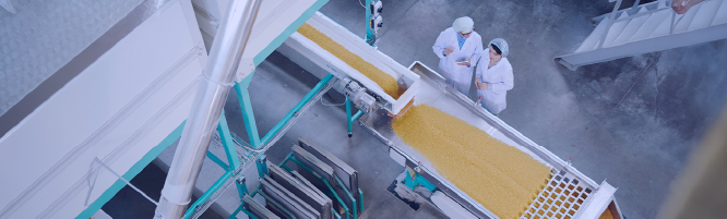 duas pessoas analisando graos amarelos na industria